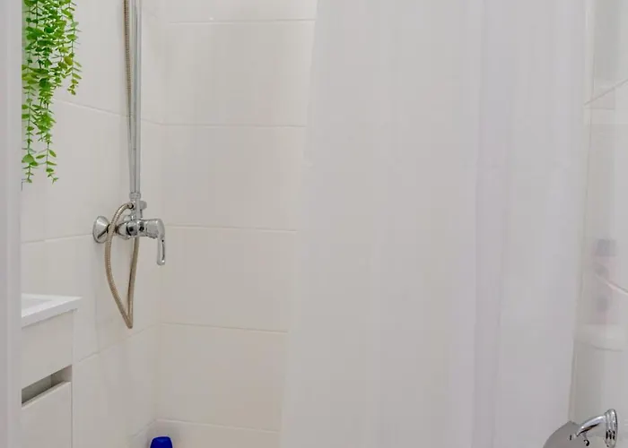 Sao Vicente Guest House *