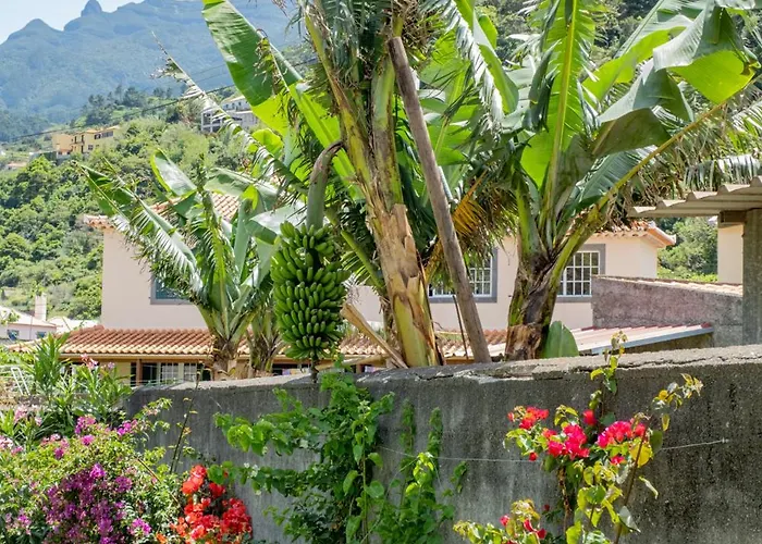 Sao Vicente Guest House *